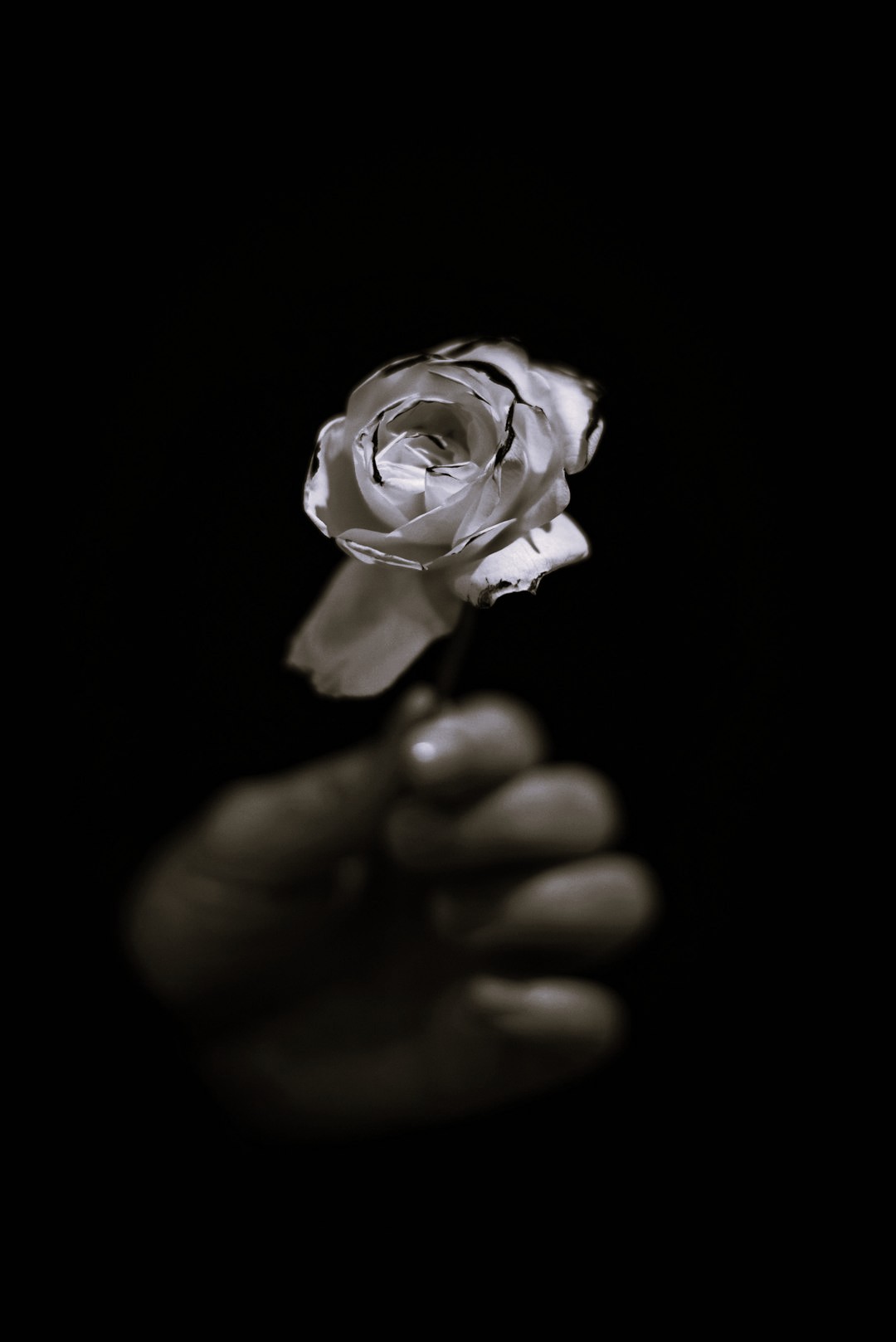 Death my Beloved – The Erotic Teachings of Loss